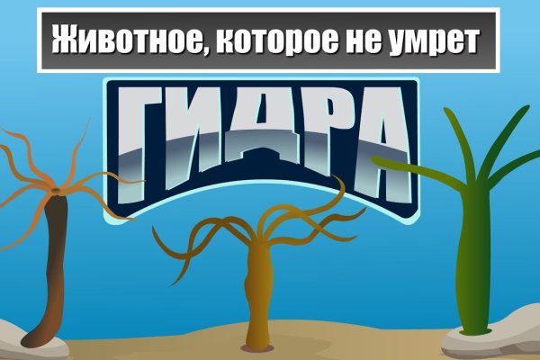 Kraken маркетплейс