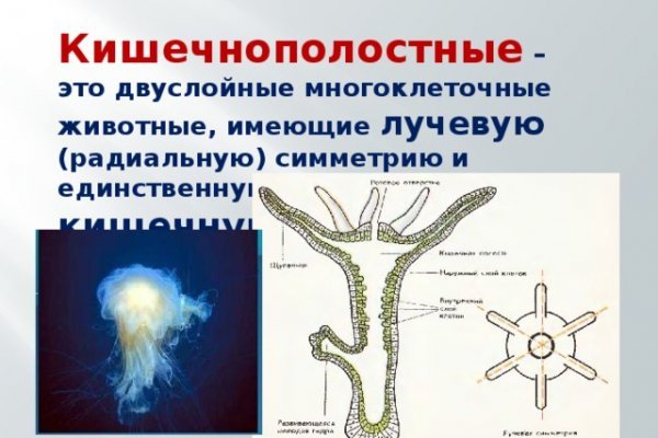 Как вернуть аккаунт на кракене