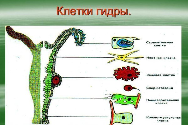 Кракен пользователь не найден