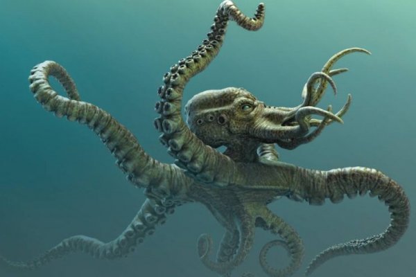 Ссылки зеркала на kraken